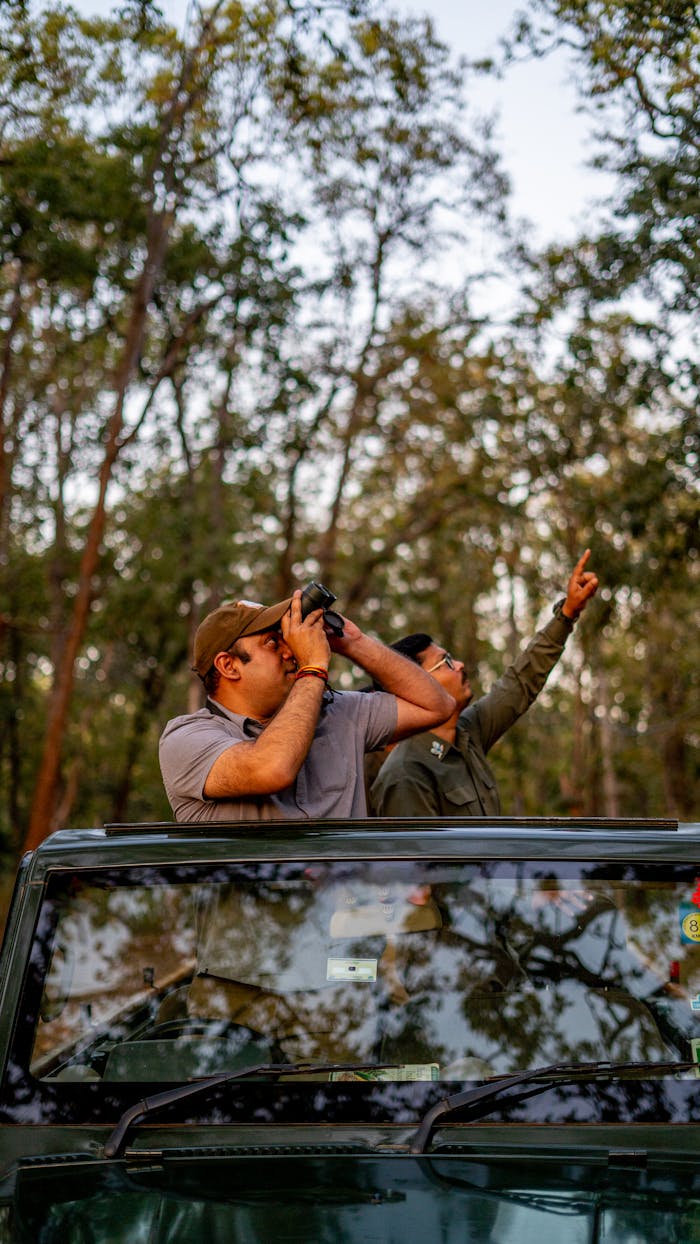 Adventurous wildlife safari in Indian forest with tourists observing nature.